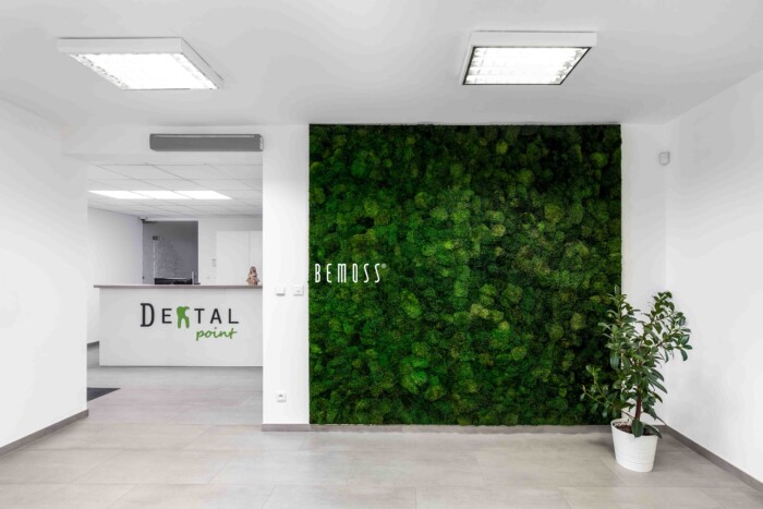 Click to view project – Dental point
