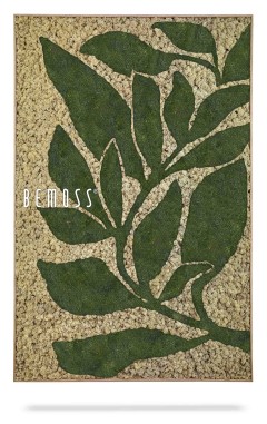 ein Bild einer Pflanze mit Blättern auf der Seite und den Worten „Bemuss“ darauf, moosbild, mooswand, moos pflanzen, moos, moos deko, moos art