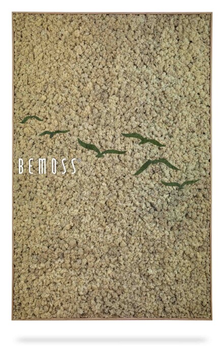 ein Bild eines Vogels, der über ein Grasfeld fliegt, mit den Worten „Bemos“ auf der Seite, moosbild, mooswand, moos pflanzen, moos, moos deko, moos art