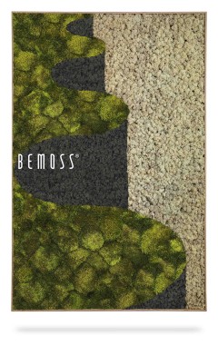 Eine mit Moos bedeckte Wand mit der Aufschrift „Be Moss“ darauf und einem Bild einer Pflanze, die an der Wand wächst, moosbild, mooswand, moos pflanzen, moos, moos deko, moos art