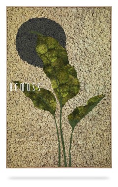 ein Bild einer Pflanze mit einer Nachricht darunter:, moosbild, mooswand, moos pflanzen, moos, moos deko, moos art
