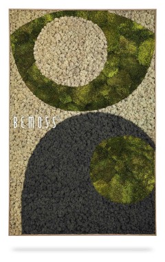 ein Bild eines Teppichs mit einem grünen Kreis darauf und einem schwarzen Kreis auf dem Boden mit einem weißen Kreis oben, moosbild, mooswand, moos pflanzen, moos, moos deko, moos art