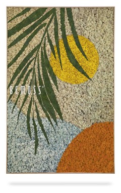 ein Bild einer Palme und einer gelben Kugel auf grauem Hintergrund mit weißem und schwarzem Rand, moosbild, mooswand, moos pflanzen, moos, moos deko, moos art