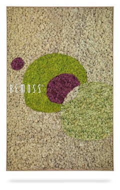 ein Bild eines grün-violetten Objekts mit den Worten „Bemos“ in weißer Schrift auf beigem Hintergrund, moosbild, mooswand, moos pflanzen, moos, moos deko, moos art