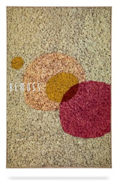 ein Bild eines Teppichs mit einem roten Kreis und gelben Kreisen darauf, moosbild, mooswand, moos pflanzen, moos, moos deko, moos art