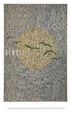 ein Bild einer Pflanze mit den Worten „Bemos“ darauf in einem Kreis aus Steinen und Kies, moosbild, mooswand, moos pflanzen, moos, moos deko, moos art