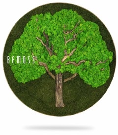 Ein Baum mit der Aufschrift „Bemos“ in Kreisform, umgeben von Gras und Blättern, moosbild, mooswand, moos pflanzen, moos, moos deko, moos art