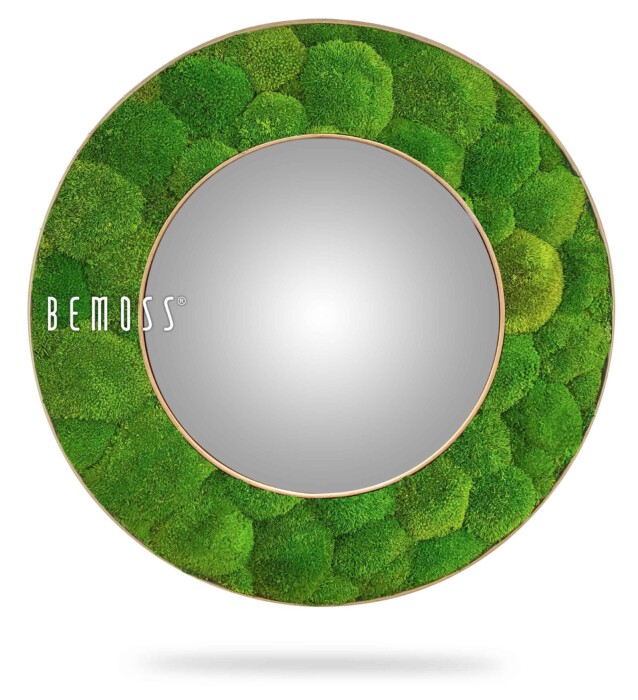 ein Spiegel mit einer grünen Pflanze darauf und den Worten „Bemos“ in der Mitte, moosbild, mooswand, moos pflanzen, moos, moos deko, moos art