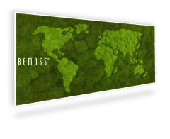 Eine grüne Weltkarte mit den Worten „Bemuss“ in weißer Schrift auf grünem Hintergrund mit weißem Rand, moosbild, mooswand, moos pflanzen, moos, moos deko, moos art