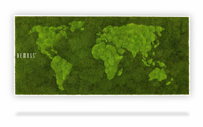 eine grüne Weltkarte mit den Worten, moosbild, mooswand, moos pflanzen, moos, moos deko, moos art