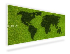 eine grüne Graswand mit einer Weltkarte darauf und den Worten, moosbild, mooswand, moos pflanzen, moos, moos deko, moos art