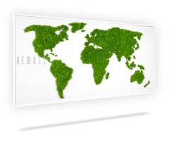 Eine weiß gerahmte Wand mit einer grünen Weltkarte auf der Seite und dem Wort Behemoss darauf, moosbild, mooswand, moos pflanzen, moos, moos deko, moos art