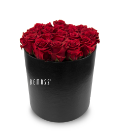 eine schwarze Schachtel mit einem Strauß roter Rosen darin, auf der steht:, moosbild, mooswand, moos pflanzen, moos, moos deko, moos art