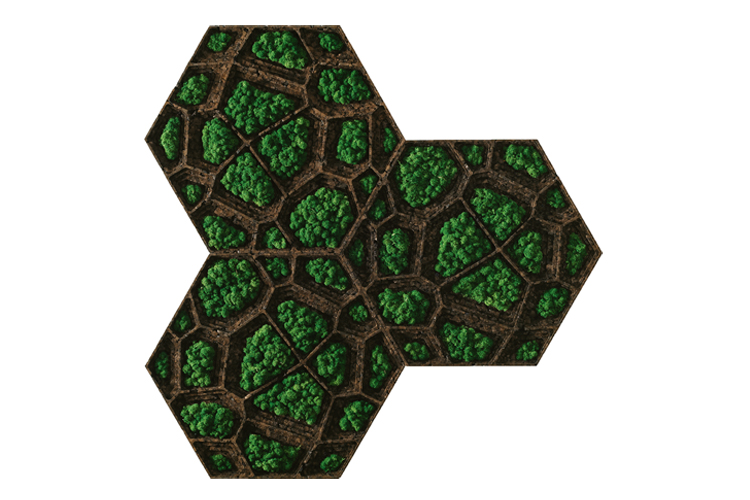 ein Bild eines grünen und braunen Musters auf weißem Hintergrund, moosbild, mooswand, moos pflanzen, moos, moos deko, moos art