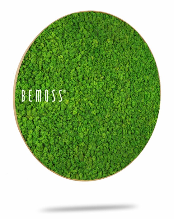 Eine mit grünem Moos bedeckte Wand mit dem Wort „Be Moss“ auf der Seite und einem weißen Hintergrund mit einem Schatten, moosbild, mooswand, moos pflanzen, moos, moos deko, moos art