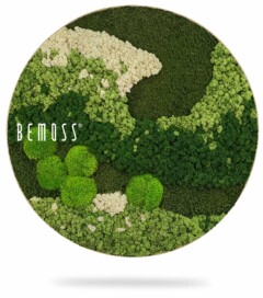 ein Bild einer grünen Pflanze mit dem Wort Bemuss in der Mitte und einem weißen Hintergrund, moosbild, mooswand, moos pflanzen, moos, moos deko, moos art