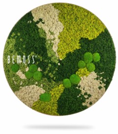 ein rundes Bild mit einer grünen Pflanze an der Seite und dem Wort darunter in weißen Buchstaben, moosbild, mooswand, moos pflanzen, moos, moos deko, moos art