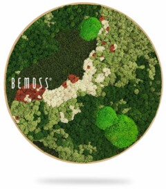ein Bild einer grünen Pflanze mit dem Wort Bemos darauf in weißen Buchstaben auf grünem Hintergrund, moosbild, mooswand, moos pflanzen, moos, moos deko, moos art