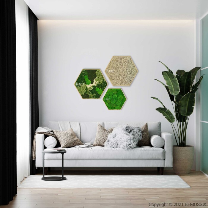 ein Wohnzimmer mit einer Couch und einer Pflanze darin und drei Sechsecken an der Wand, moosbild, mooswand, moos pflanzen, moos, moos deko, moos art