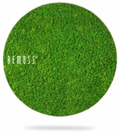 ein grüner Kreis mit dem Wort Bemuss in Weiß darauf und einer grünen Wiese in der Mitte, moosbild, mooswand, moos pflanzen, moos, moos deko, moos art