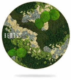 ein Bild einer grün-weißen Pflanze mit dem Wort Bemuss in Kreisform darauf, moosbild, mooswand, moos pflanzen, moos, moos deko, moos art