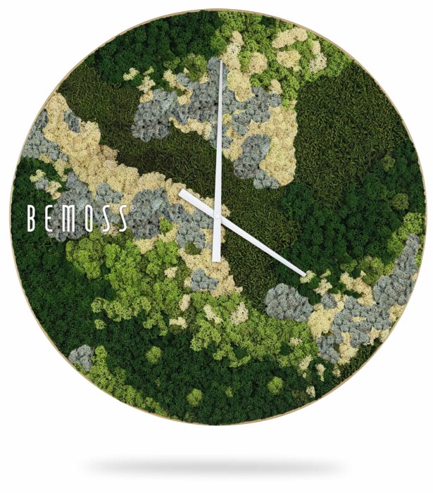 Eine Uhr mit einem moosbedeckten Wald in der Mitte des Zifferblatts und der Aufschrift „Bemos“ auf der Uhr, moosbild, mooswand, moos pflanzen, moos, moos deko, moos art