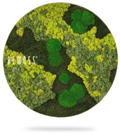 ein rundes Bild mit einer grünen Pflanze darauf und dem in Weiß geschriebenen Wort „Glück“ in der Mitte des Bildes, moosbild, mooswand, moos pflanzen, moos, moos deko, moos art