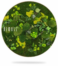 Ein Teller mit Moos und Blättern darauf, darauf das Wort „Bemos“ in weißer Schrift auf grünem Hintergrund, moosbild, mooswand, moos pflanzen, moos, moos deko, moos art