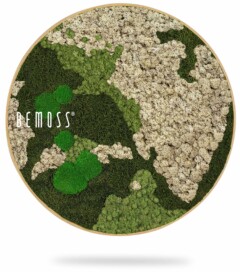 ein Bild einer grünen Erde mit Blättern und Moos darauf, auf dem steht:, moosbild, mooswand, moos pflanzen, moos, moos deko, moos art