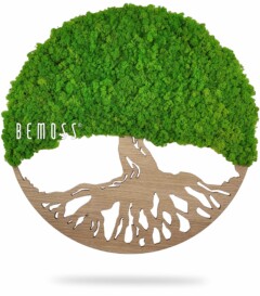 Ein Baum mit einer großen Wurzel wird kreisförmig mit den Worten dargestellt, moosbild, mooswand, moos pflanzen, moos, moos deko, moos art