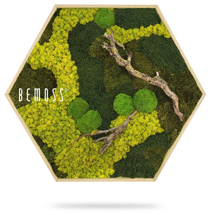 Ein moosbedeckter Bereich mit Bäumen und Sträuchern und der Aufschrift „Be Moss on it“ in der Mitte, moosbild, mooswand, moos pflanzen, moos, moos deko, moos art