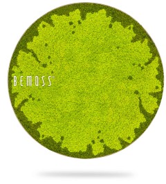 Ein grüner Kreis mit dem darauf geschriebenen Wort „Bemos“ in weißer Schrift auf weißem Hintergrund mit Schatten, moosbild, mooswand, moos pflanzen, moos, moos deko, moos art