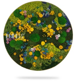 ein Bild eines Blumengartens mit dem Wort Bemos darauf in einem Kreis aus Blumen und Blättern, moosbild, mooswand, moos pflanzen, moos, moos deko, moos art