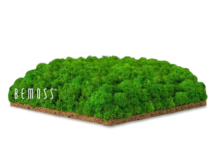 Ein moosbedeckter Bereich mit dem Wort „Be Moss“ auf der Seite und einem grünen Grasfeld, moosbild, mooswand, moos pflanzen, moos, moos deko, moos art