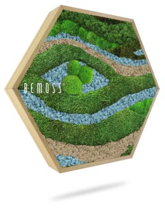 ein Bild eines Flusses und einer Grünfläche mit Gras und Felsen darin, auf dem steht:, moosbild, mooswand, moos pflanzen, moos, moos deko, moos art