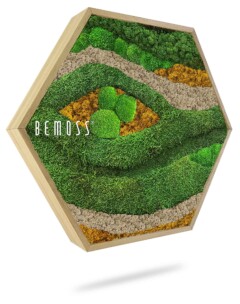 ein Bild einer grünen Pflanze mit den Worten „Bemos“ darauf in einem sechseckigen Rahmen mit weißem Hintergrund, moosbild, mooswand, moos pflanzen, moos, moos deko, moos art