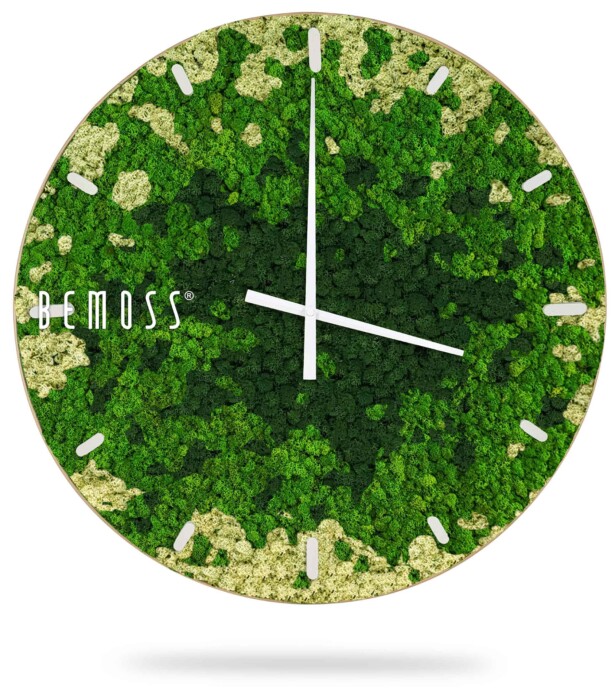 eine Uhr mit einem grün-weißen Design auf dem Zifferblatt und Zahlen auf dem Zifferblatt, moosbild, mooswand, moos pflanzen, moos, moos deko, moos art