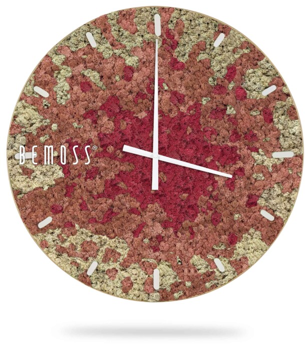 eine Uhr mit einem rot-weißen Muster auf dem Zifferblatt und den Worten, moosbild, mooswand, moos pflanzen, moos, moos deko, moos art