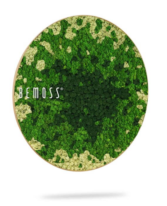 Ein mit grünem Moos bedeckter Teller mit dem Wort „Bemos“ auf der Seite und ein weißer Hintergrund mit einem mit grünem Moos bedeckten Teller mit dem Wort „Bemos“ auf der Seite, moosbild, mooswand, moos pflanzen, moos, moos deko, moos art