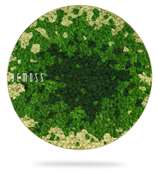 Ein grüner Kreis mit dem Wort „Moss“ darauf in weißen Buchstaben auf einem weißen Hintergrund mit einem grünen Kreis, moosbild, mooswand, moos pflanzen, moos, moos deko, moos art