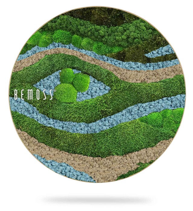 ein rundes Bild mit einem Fluss und Gras darauf, auf dem Erinnerung steht, und einer grünen Wiese, durch die ein Fluss fließt, moosbild, mooswand, moos pflanzen, moos, moos deko, moos art