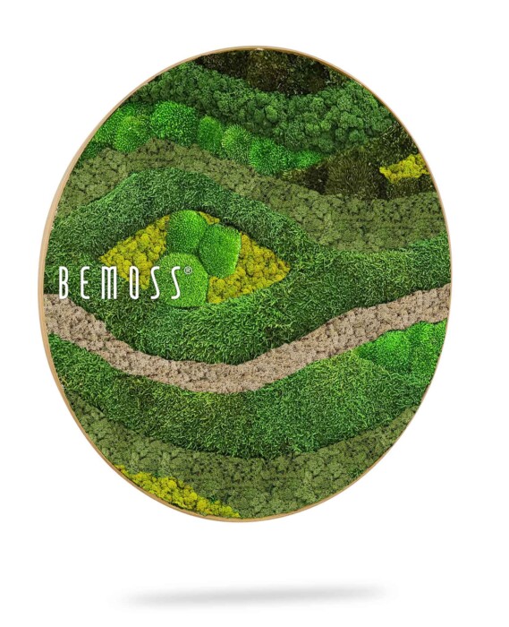 ein runder Teller mit einer grünen Landschaft und den Worten Bemos darauf in weißer Schrift auf weißem Hintergrund, moosbild, mooswand, moos pflanzen, moos, moos deko, moos art