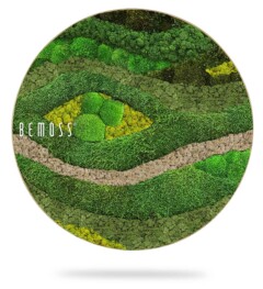 ein kreisförmiges Bild eines grünen Grasflecks mit einer Straße in der Mitte und einer Botschaft über dem Bild, moosbild, mooswand, moos pflanzen, moos, moos deko, moos art