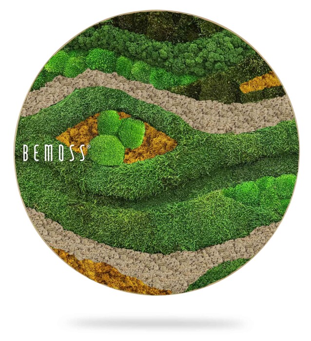 ein Bild einer grünen Landschaft mit den Worten „Bemuss“ in weißen Buchstaben auf einem kreisförmigen Bild, moosbild, mooswand, moos pflanzen, moos, moos deko, moos art