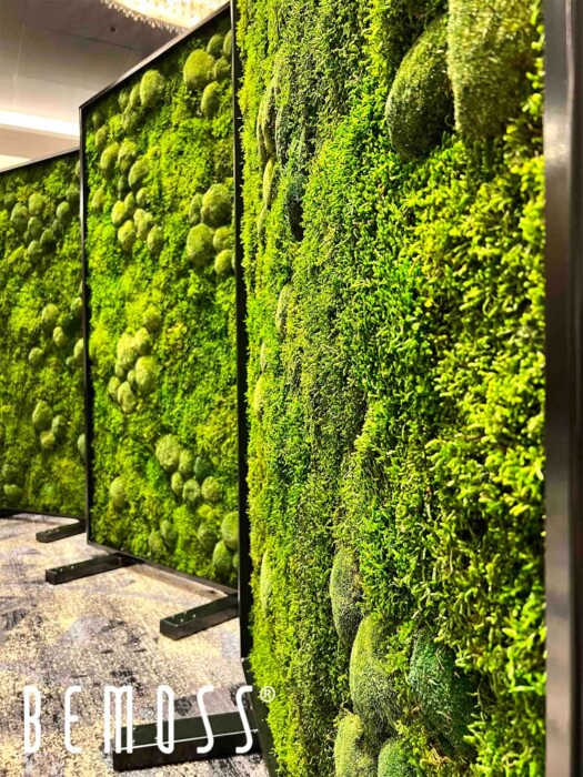 Eine Wand aus grünen Pflanzen in einem Gebäude mit einem weißen Schild mit der Aufschrift „Moos“ und einem schwarzen Rahmen, moosbild, mooswand, moos pflanzen, moos, moos deko, moos art