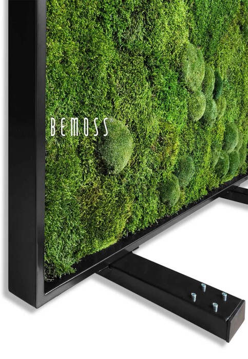 ein Fernsehbildschirm mit Moos an der Seite und den Worten, moosbild, mooswand, moos pflanzen, moos, moos deko, moos art