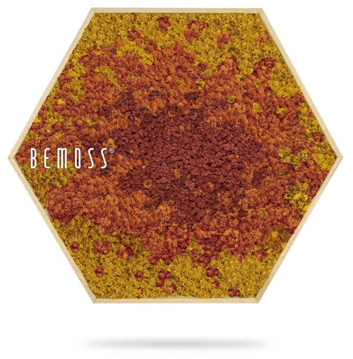eine rot-gelbe Substanz mit dem Wort Bemos auf der Seite in einem sechseckigen Rahmen, moosbild, mooswand, moos pflanzen, moos, moos deko, moos art