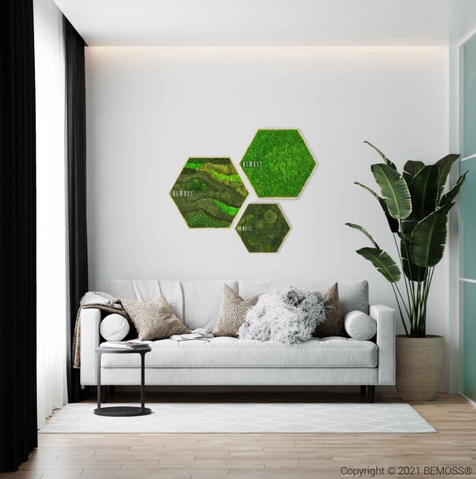 ein Wohnzimmer mit einer Couch und einer Pflanze darin und drei grünen Sechsecken an der Wand, moosbild, mooswand, moos pflanzen, moos, moos deko, moos art