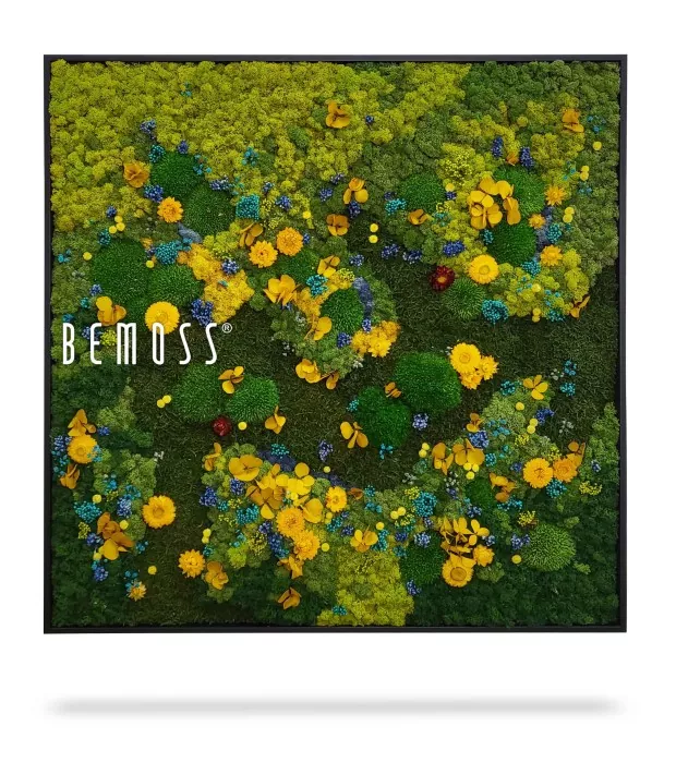 ein Bild einer Blumenwiese mit den Worten „Bemos“ in weißen Buchstaben darüber, moosbild, mooswand, moos pflanzen, moos, moos deko, moos art